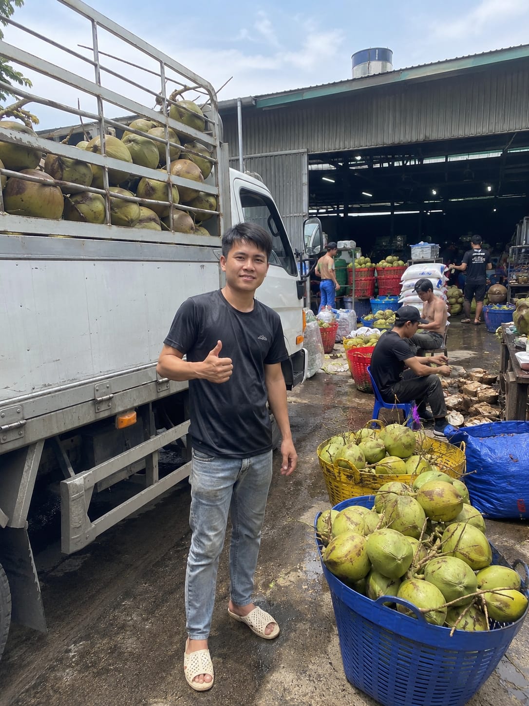 TUYỂN TÀI XẾ VÀ NHÂN VIÊN PHỤ XƯỞNG DỪA
