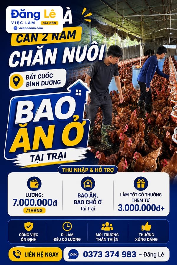 TRẠI GÀ CẦN 2 NAM CHĂN NUÔI