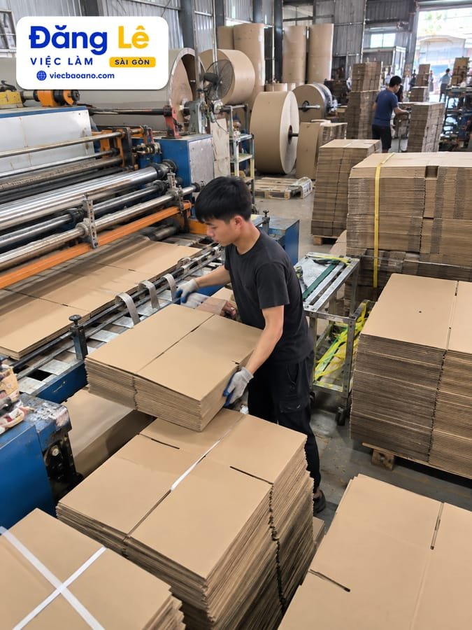 PHỤ SẢN XUẤT GIẤY THÙNG CARTON